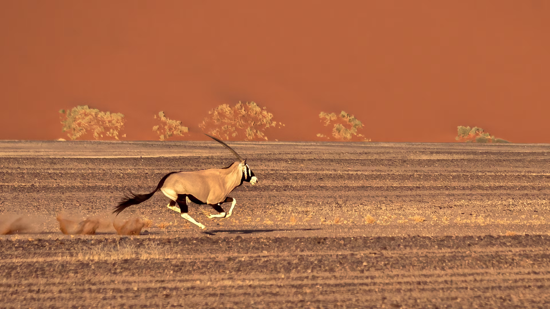Namibia Auténtica