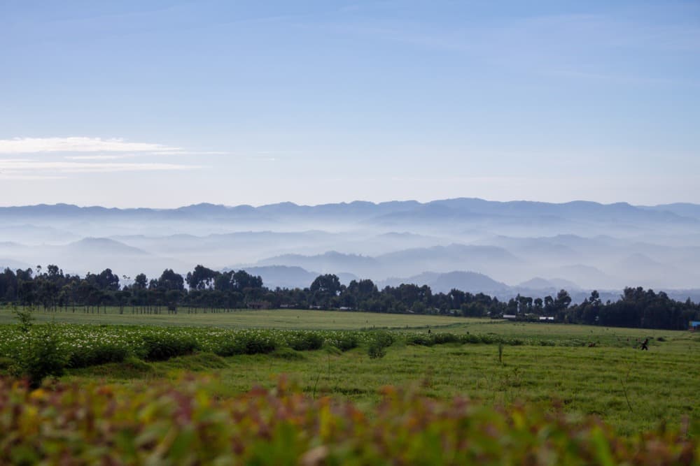 Clima y mejor época para visitar Ruanda