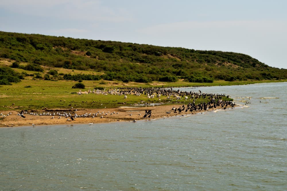 Parque Nacional Queen Elizabeth