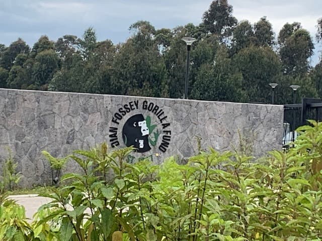 El Campus Ellen DeGeneres del Dian Fossey Gorilla Fund